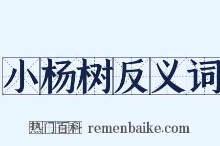 小杨树反义词是什么意思的图片